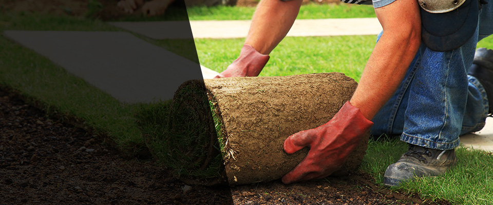Deming Landscapers